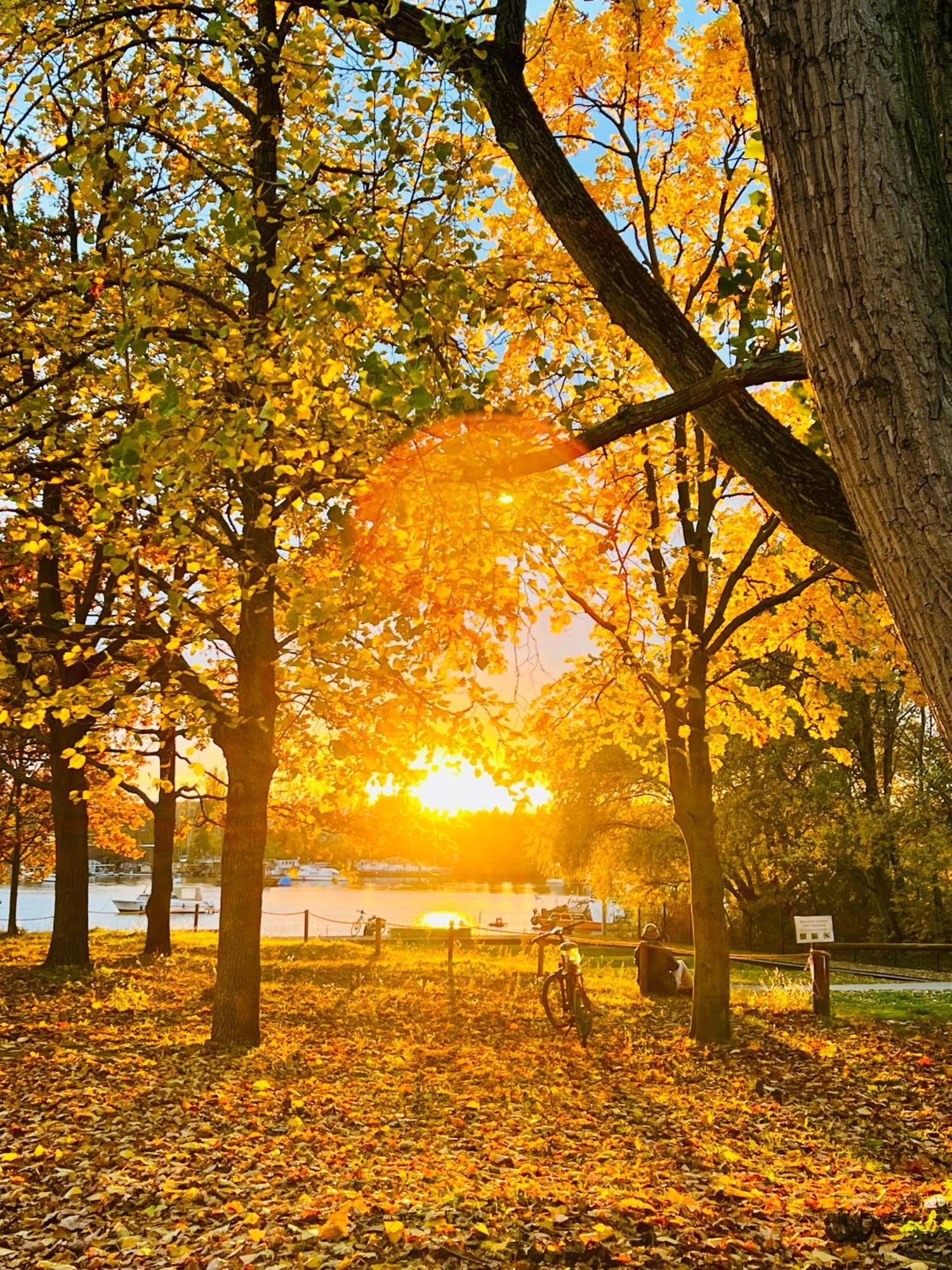 Schoene Aussichten Mitten In Berlin - Il Sole Luaran gambar